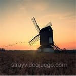 Avatar de Adrián Rosas