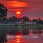 Avatar de Isaac Belmonte